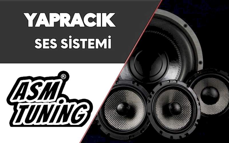 Yapracık Ses Sistemi